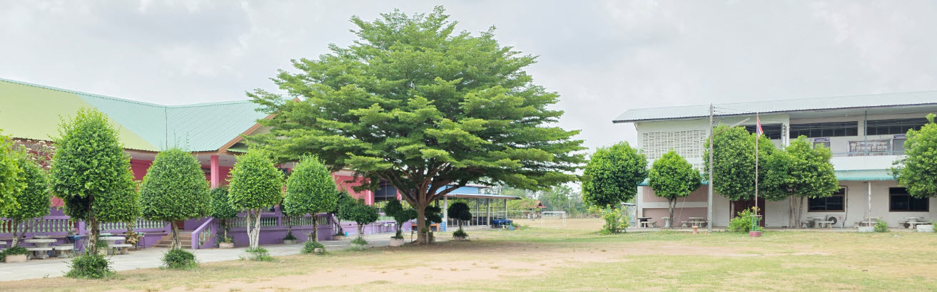 ภาพสไลด์