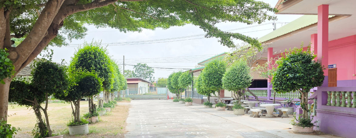 ภาพสไลด์