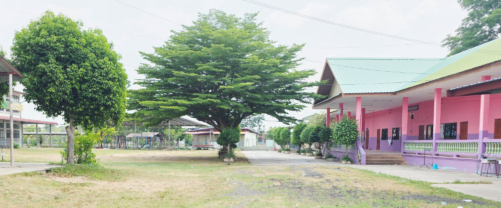 ภาพสไลด์